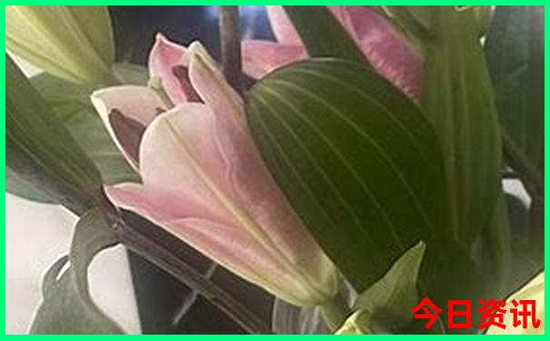 贵阳必玩景点推荐
